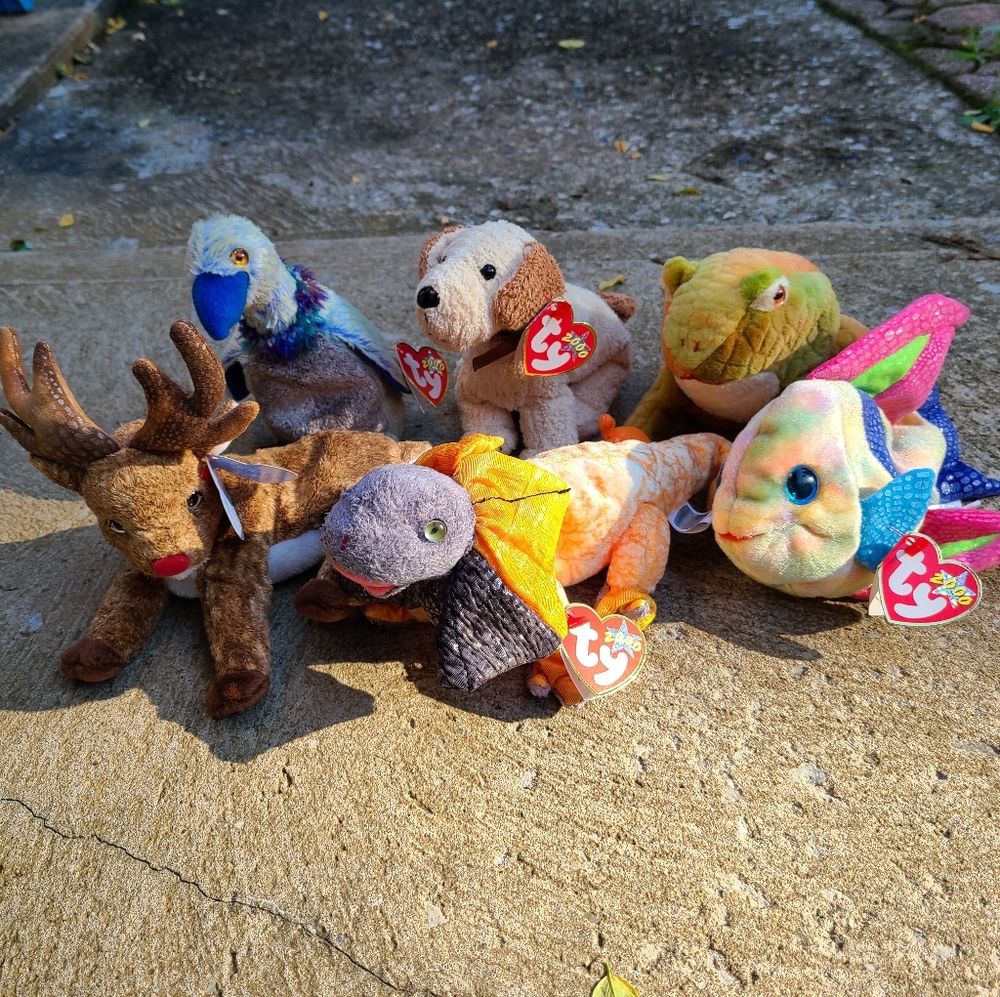 Beanie Baby 2000s set